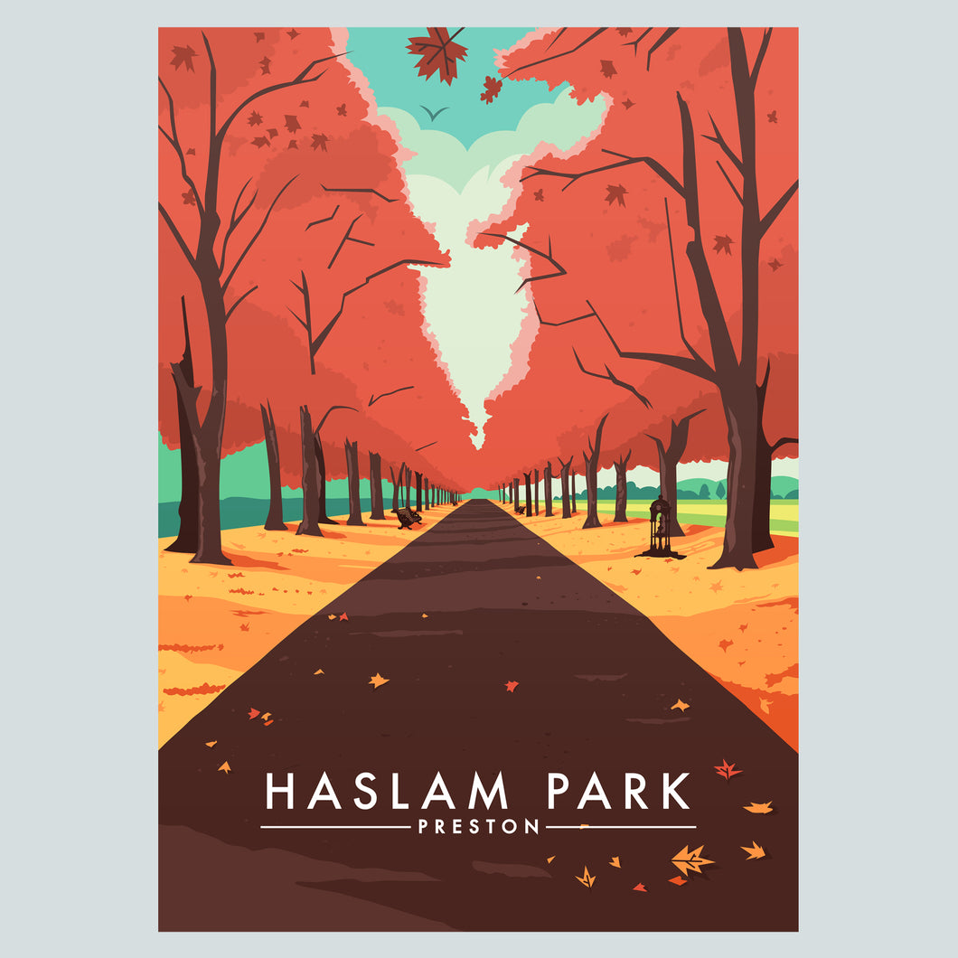 Haslam Park Preston Poster Print