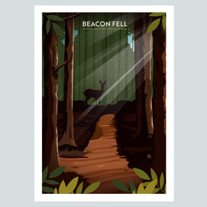 Beacon Fell Country Park, Goosnargh, Lancashire Travel Poster Print