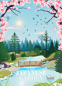 Avenham and Miller Park Postcard set